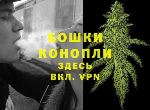 каннабис Арсеньев