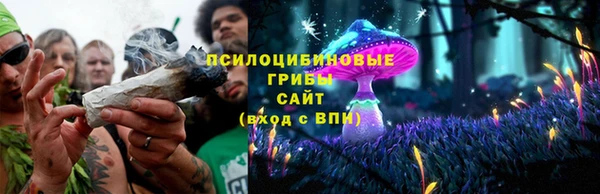 каннабис Арсеньев