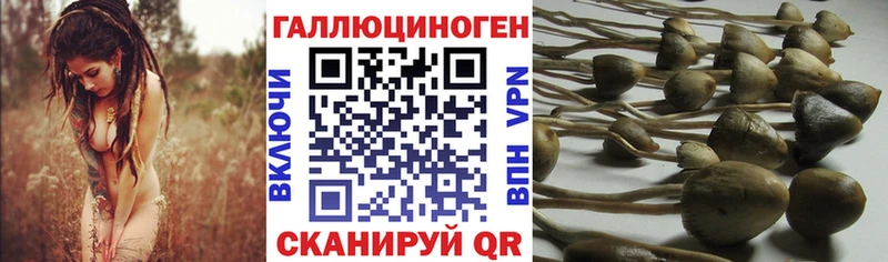 Псилоцибиновые грибы Magic Shrooms где купить наркоту Ковылкино
